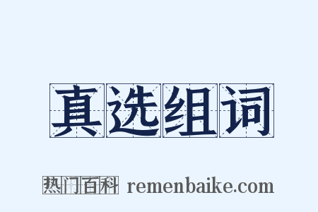 真选组词是什么意思的图片